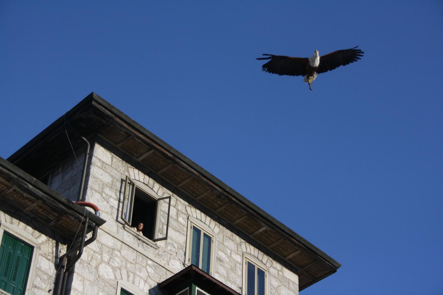 Th Borca Di Cadore - Park Hotel Des Dolomites Dış mekan fotoğraf
