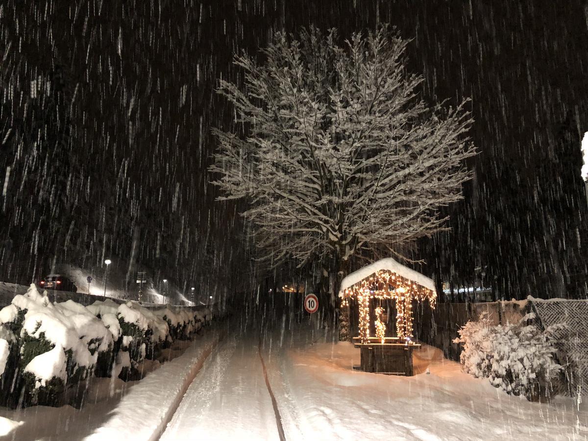 Th Borca Di Cadore - Park Hotel Des Dolomites Dış mekan fotoğraf