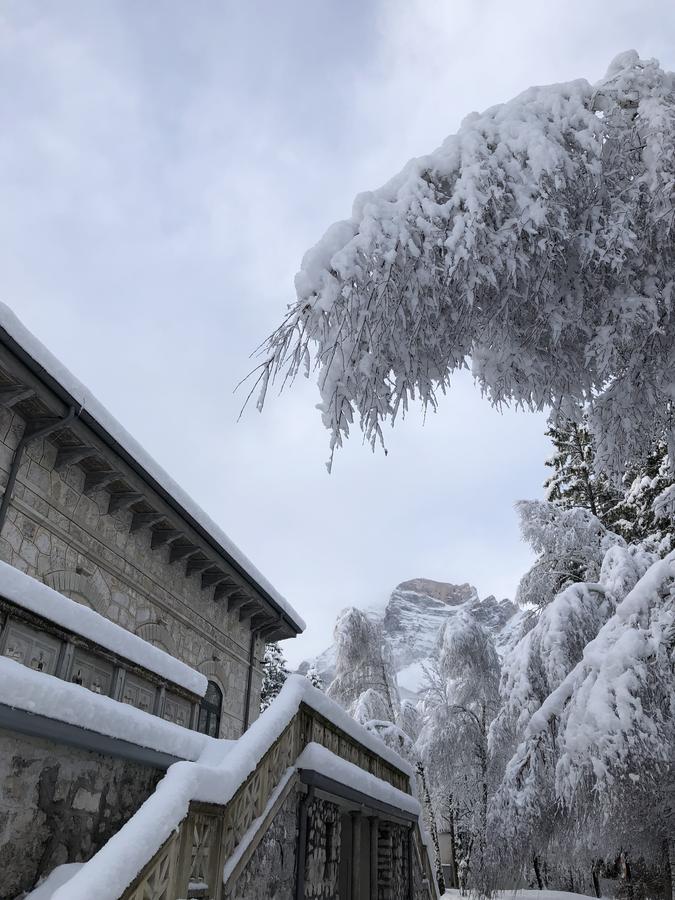 Th Borca Di Cadore - Park Hotel Des Dolomites Dış mekan fotoğraf